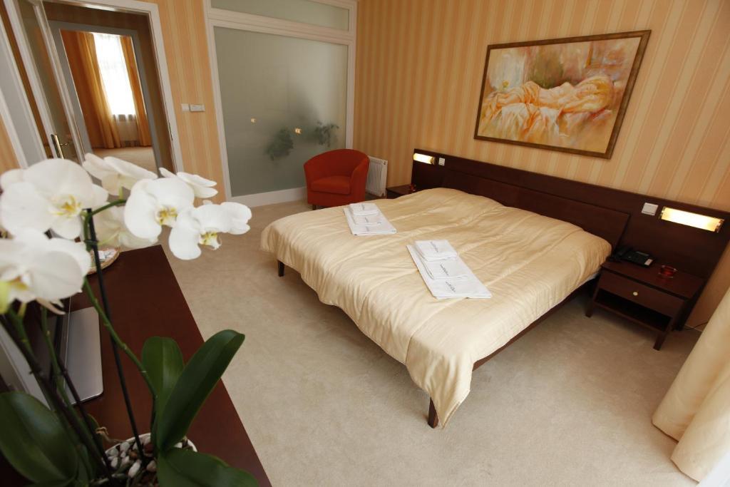 Hotel Sandor Pavillon Piest'any Rom bilde